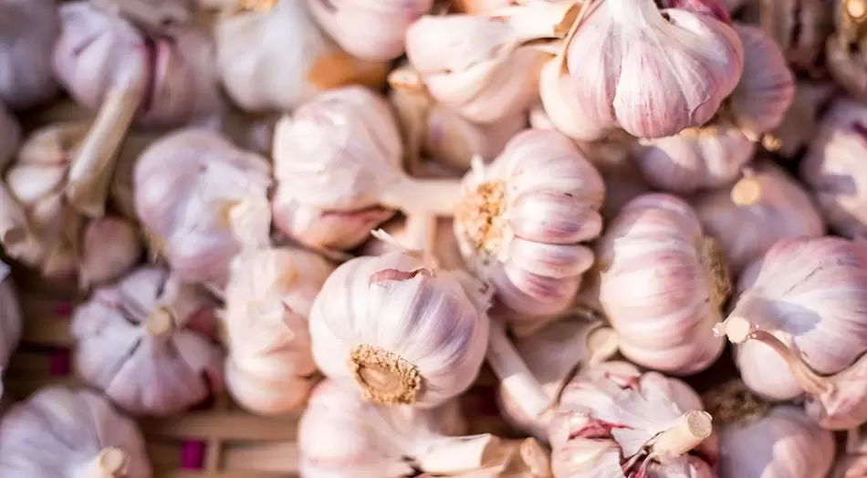 Knoblauch für Potenz
